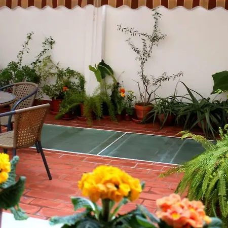 Apartmán Con Patio Cerca Mezquita *