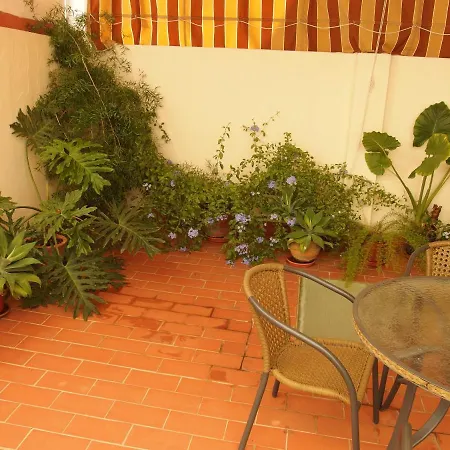 Con Patio Cerca Mezquita 公寓 *