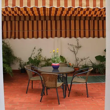 Con Patio Cerca Mezquita 科爾多瓦